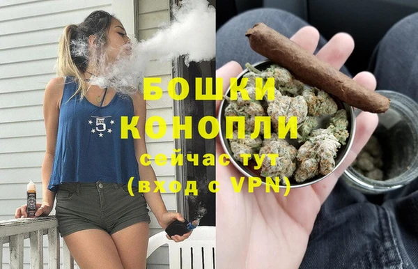 дмт Новозыбков
