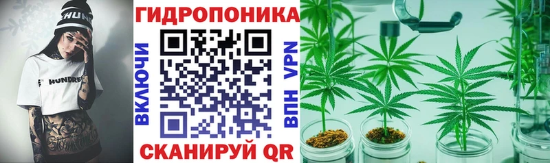 mega рабочий сайт  Королёв  Шишки марихуана марихуана 